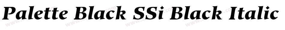 Palette Black SSi Black Italic字体转换